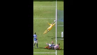 Is this the best Premier League save EVER? 😱