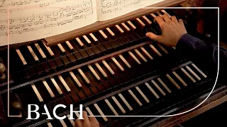 Bach - Wenn wir in höchsten Nöten sein BWV 641 - Seeger | Netherlands Bach Society