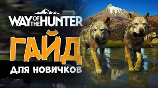 Way of the Hunter - Гайд для новичков - Как лучше играть - Механики