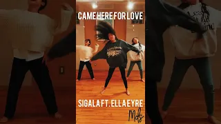 Sigala ft. Ella Eyre - Came Here for Love / Dance Choreography By MDS
