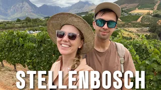 ЮАР КЕЙПТАУН: лучшие винодельни мира. Винный регион Stellenbosch