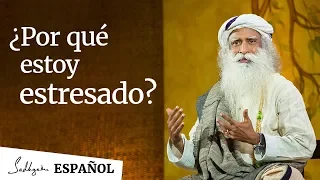 ¿Por qué estoy estresado?│Sadhguru