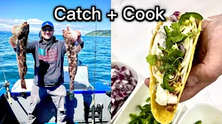 Lingcod Fishing at Puget Sound PNW (Catch+Cook)