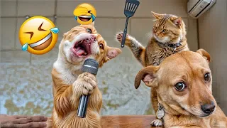YOU LAUGH YOU LOSE🥰Best Funny Animals Video 2024😽🐶#7
