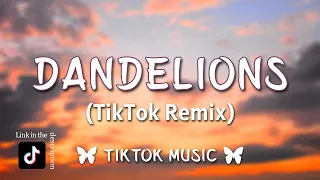 Ruth B. - Dandelions (TikTok Sped Up)[Lyrics] I see forever in your eyes, smile, smile