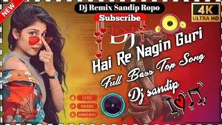 Hai re nagin guri || dj remix sandip mix|| __    __ 2023  _ ||   hai re nagin guri || new top song