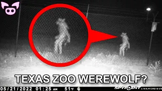 Is This a Werewolf Caught on Camera? Plus Other Scary Videos