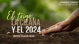 El trigo, la cizaña y el 2024 | Mateo 13:24-30, 36-43 | Pr. Sugel Michelén