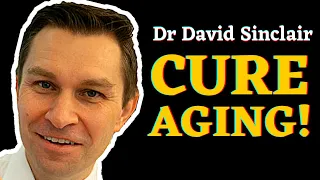 How to Cure Aging – During Your Lifetime?  Dr David Sinclair & Sweet Fruit