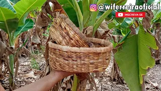 Como fazer cesta com palha de bananeira já seca direto do tronco.