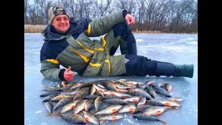 Все ТОНКОСТИ и РАБОЧИЕ проводки на БЕЗМОТЫЛКУ. Рыбалка на  ОКУНЯ в глухозимье!