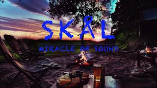 Skål - Miracle of Sound LYRICS #vikings #miracleofsound #chill