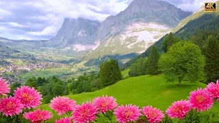 Grindelwald Switzerland 🇨🇭 the Most Trending Swiss Village | #swiss #trending