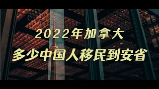 去年有多少中国人移民到安省？分配到哪些子项目了？新移民的热门职业有哪些？