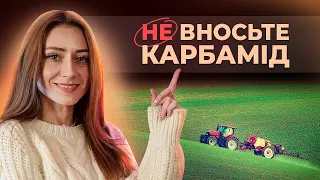 НЕ ПІДЖИВЛЮЙТЕ КАРБАМІДОМ! ВТРАТИТЕ ГРОШІ! #основиземлеробства