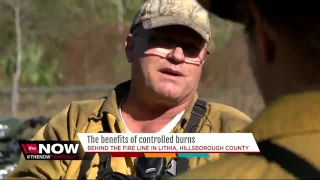The benefits of controlled burns