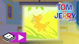 Tom și Jerry | Jerry, porcușorul de Guineea | Cartoonito