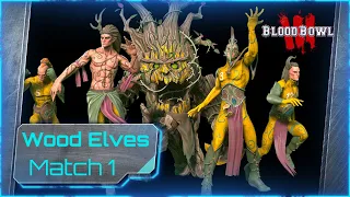 AndyDavo Does Wood Elves To Master!  Undead - Match 1