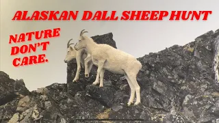 Dall Sheep Hunt | the Alaskan Mt. Range will Hurt You