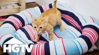 Easy Does It: Upcycle an Old Sweater Into a Cozy Pet Bed | HGTV