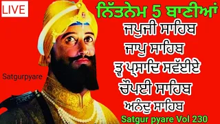 ਬੇਅੰਤ ਸੁਆਮੀ | Nitnem Panj bania | ਨਿਤਨੇਮ ਪੰਜ ਬਾਣੀਆ | Nitnem | ਨਿਤਨੇਮ | Nitnem fast | By Satgurpyare