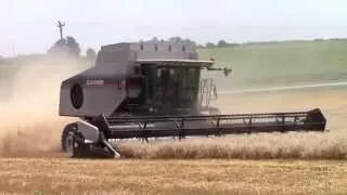 Gleaner R75 Combine Harvesting Wheat