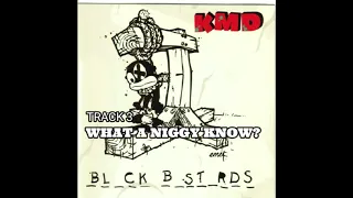 KMD "WHAT A NIGGY KNOW?" (1994) TRACK 3 BLACK BASTARDS