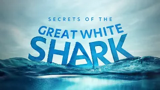 Secrets of the Great White Shark (Official Trailer)