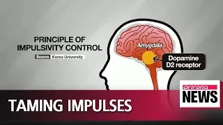 Korean researchers find cause of impulsive behavior