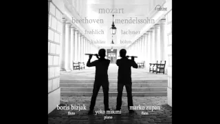 Mozart Sonata in D Major, K 448 / 375a for two pianos (arr Marko Zupan) / Bizjak, Zupan, Misumi