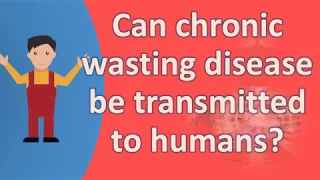 Can chronic wasting disease be transmitted to humans ? |Frequently ask Questions on Health