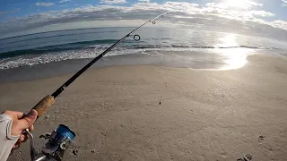 You Don't Need A Big Surf Rod To Fish From The Beach - Beach Fishing With A 6 to 7ft Rod