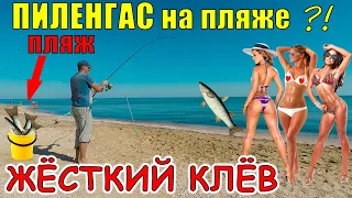 РЫБАЛКА НА ПЛЯЖЕ - ЖОР ПЕЛЕНГАСА, ловля в Азовском море, Арабатская Стрелка, Стрелковое. Пеленгас