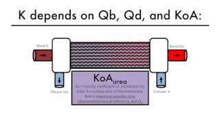 Hemodialysis Kinetics 101 06 What is Kt/V