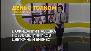 "День с Толком". 01.03.2024