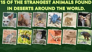 15 of the strangest animals found in deserts around the world. #desert #animals #viralvideo #viral