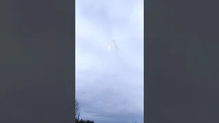 Сигнальная ракета