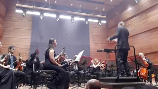 Grand Theft Auto IV - Theme Song (Macedonian Philharmonic)