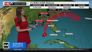 Tracking Hurricane Idalia 8/29/2023 11AM