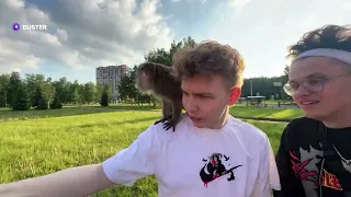 MONKE SQUAD В ПОЛНОМ СОСТАВЕ