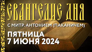 Толкование Евангелия с митрополитом Антонием (Паканичем). Пятница, 7 июня 2024 года.