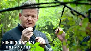 🇳🇿 Into the Wild: Gordon Ramsay And Chef Monique Fiso's Foraging Quest | Gordon Ramsay: Uncharted