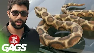 Snake ESCAPES from Keeper Prank