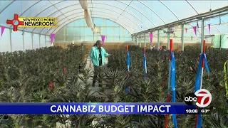 SPECIAL REPORT: How much money will marijuana sales bring to New Mexico?