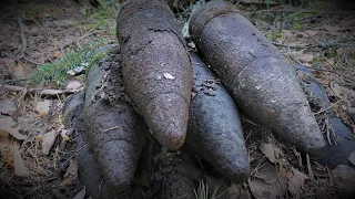 Поиск у деревни Лужки.