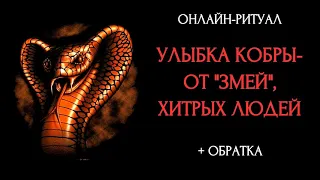 УЛЫБКА КОБРЫ - ЧИСТКА ОТ "ЗМЕЙ"l ОНЛАЙН-РИТУАЛ С ОБРАТКОЙ