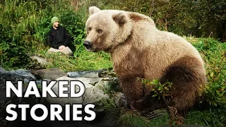 The Bear That Eats Brains