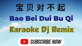 bao bei dui bu qi karaoke 宝贝对不起 dj remix male