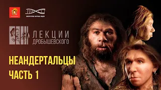 О неандертальцах, их жизни и смерти. Лекция Станислава Дробышевского