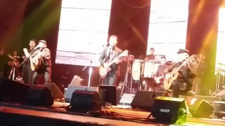 El GALLO AZUL 🎸🎵 Lucas Sugo y  LARBANOIS CARRERO